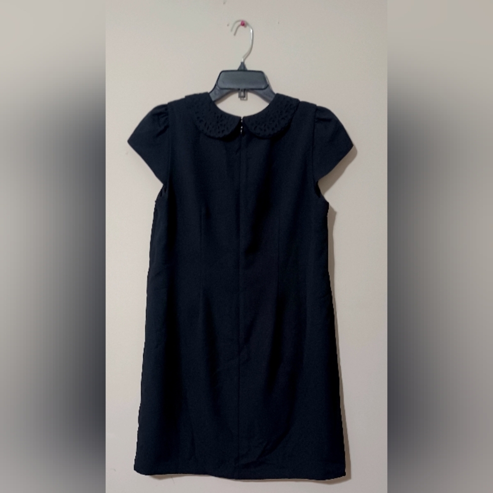 LOFT Classic Black Peter Pan Collar Dress with Lace On Collar. NWOT. Size 10P